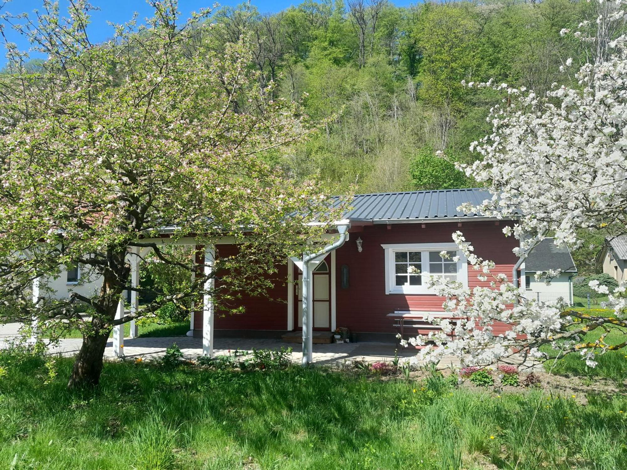 Ferienhaus Am Wald Wippra Экстерьер фото